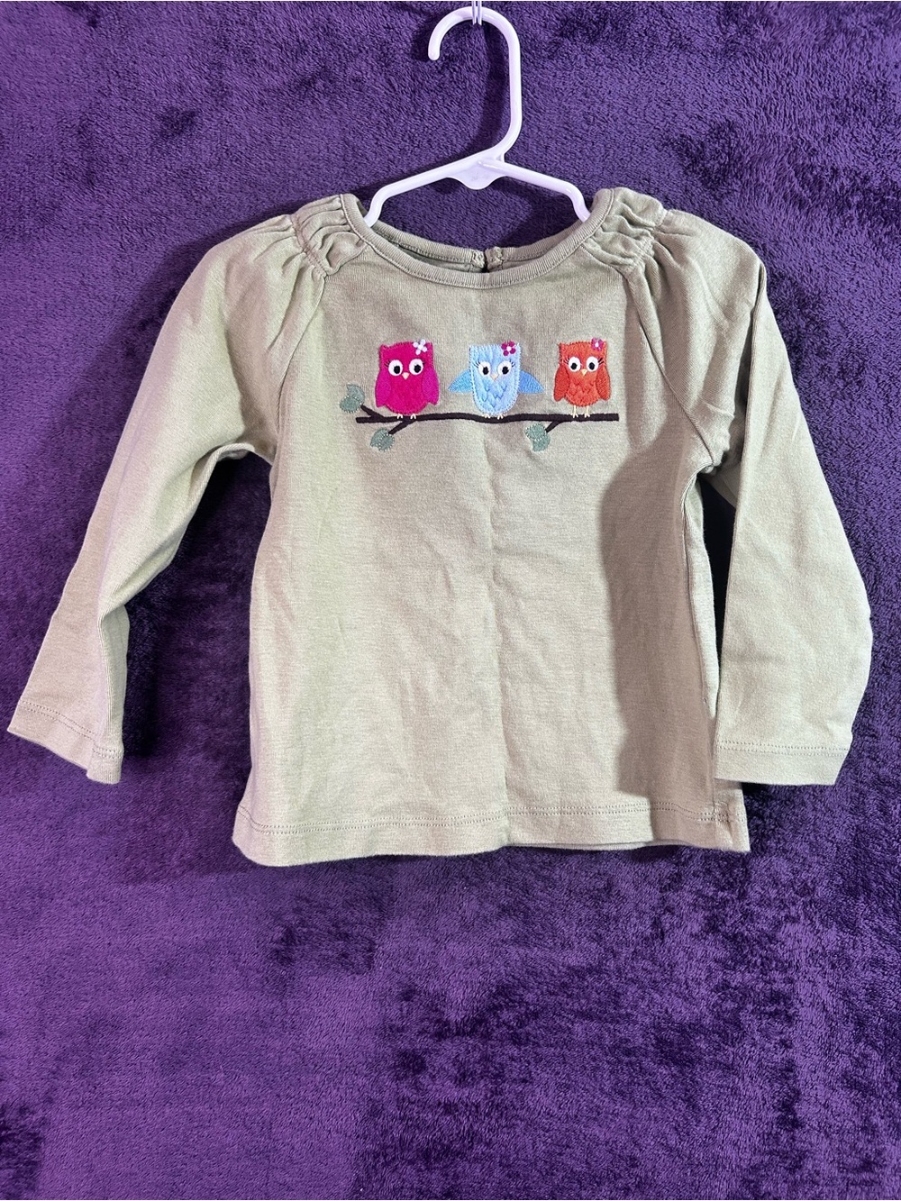 Gymboree Olive Green Long Sleeve Top with Three Embroidered Owls